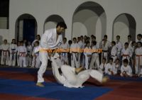 karate (78) (Αντιγραφή)